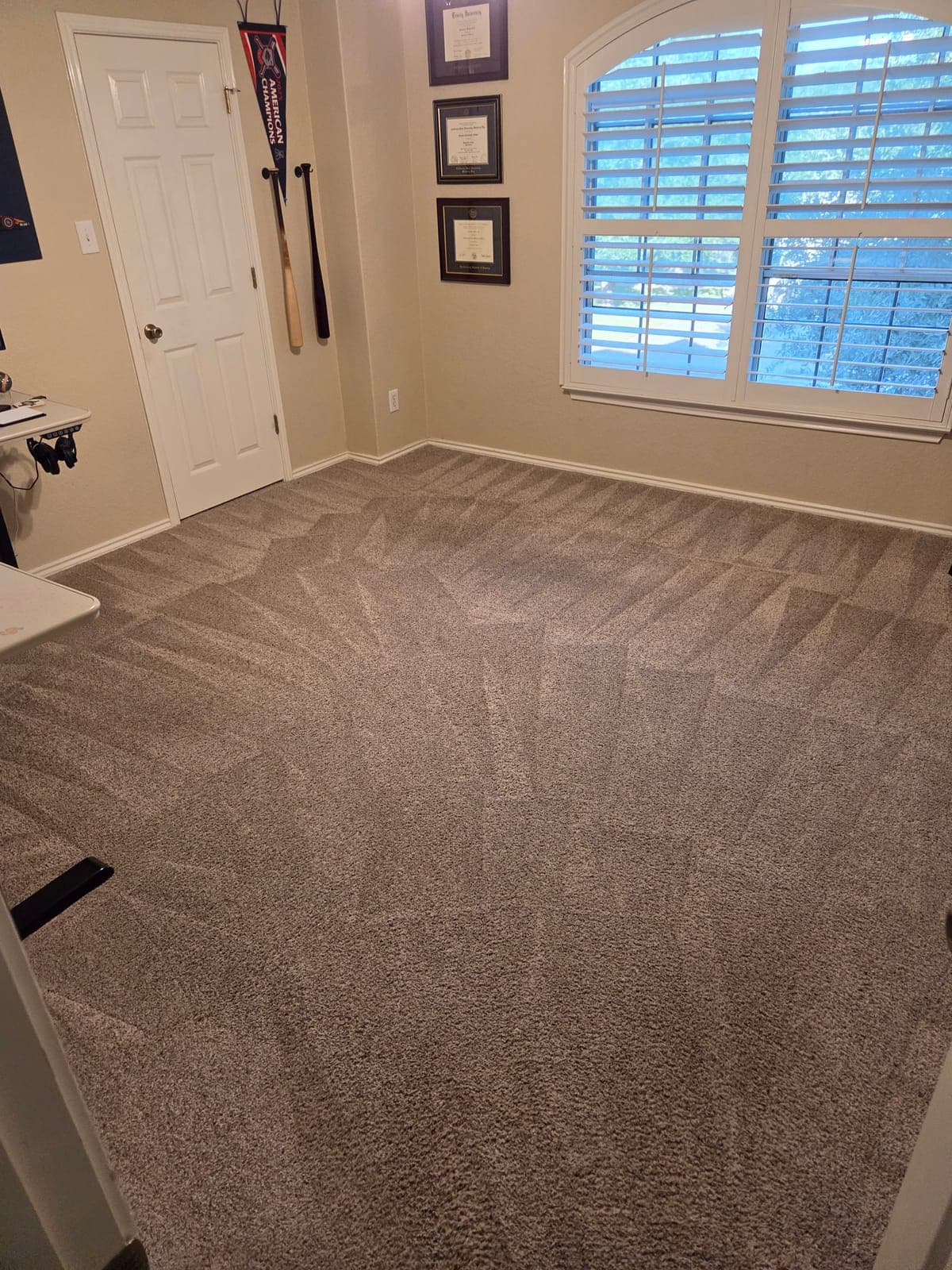 Home office carpet after a cleaning